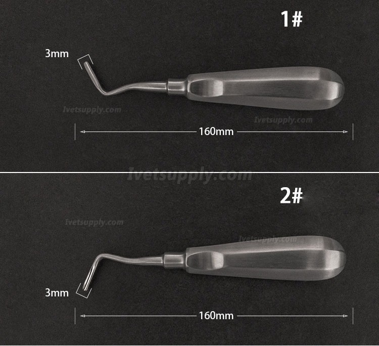 Veterinary Elevators Cat Dog Teeth Extraction Stainless Steel Minimally Invasive Elevators